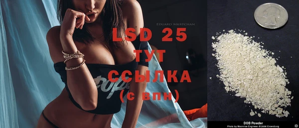 сатива Горнозаводск