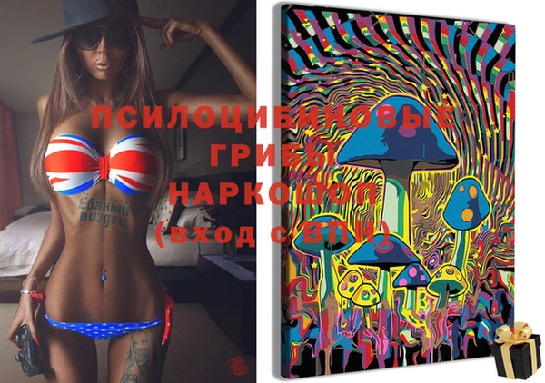 сатива Горнозаводск