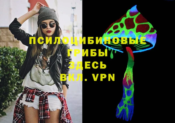 сатива Горнозаводск