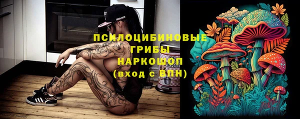 индика Надым