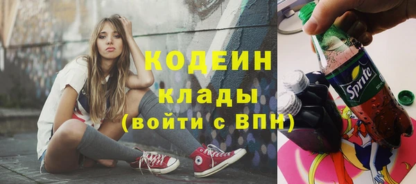 индика Надым