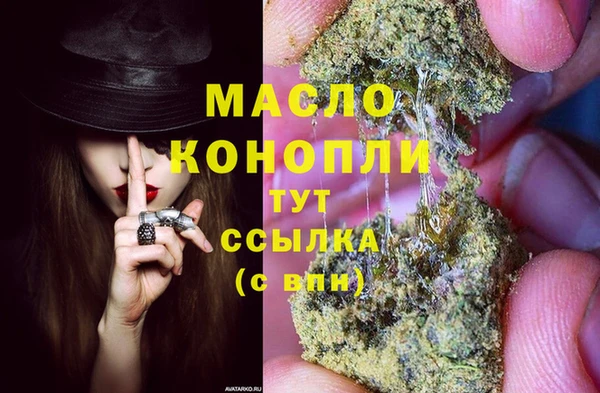 индика Надым