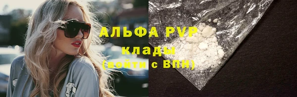 индика Надым