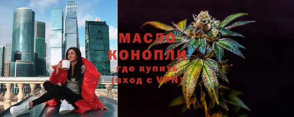 индика Надым