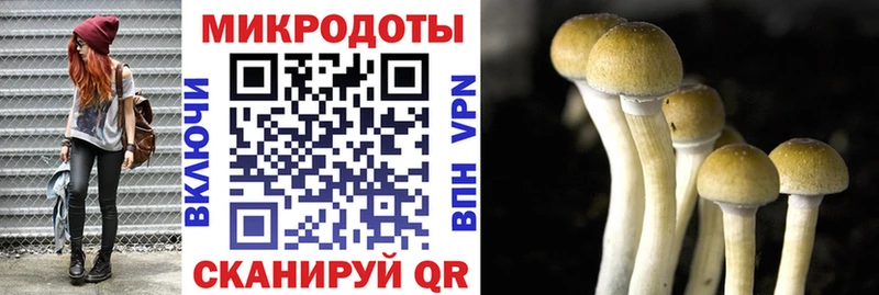 Псилоцибиновые грибы ЛСД  Гуково 
