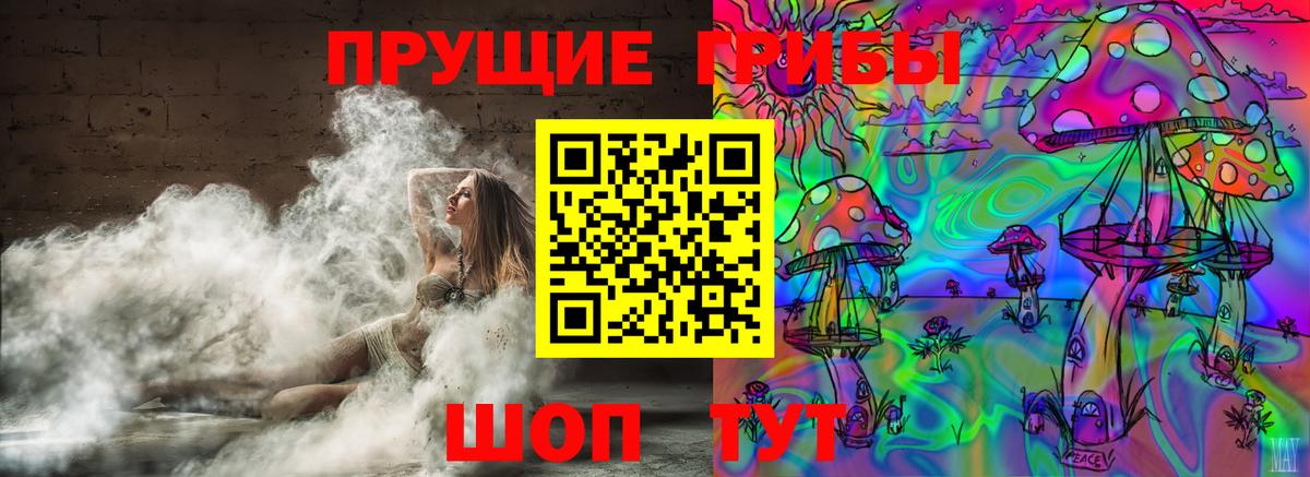 Псилоцибиновые грибы мицелий  Гуково 